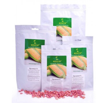 Орландо F1 – цукрова кукурудза, МНАГОР