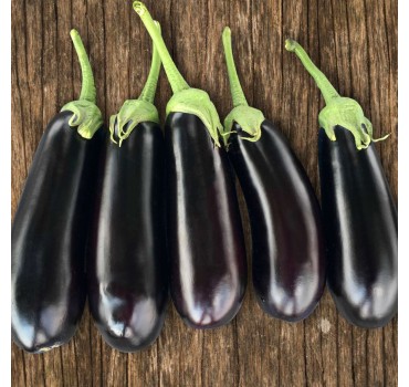 Баклажан Казимир (HMC 1404) F1 | Casimir F1, Clause