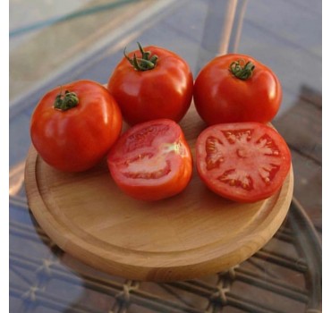 Томат Дебют F1 | Debut F1, Seminis