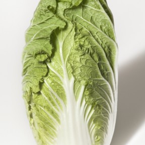 Капуста Оріент Стар F1 | Orient Star F1, Takii Seeds