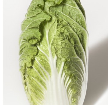 Капуста Оріент Стар F1 | Orient Star F1, Takii Seeds