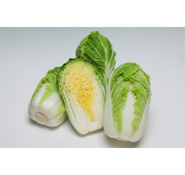 Капуста Ендуро F1 | Enduro F1, Takii Seeds Капуста Ендуро F1 | Enduro F1, Takii Seeds