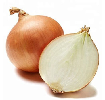 Цибуля Стур БС, Голандія (саджанка)