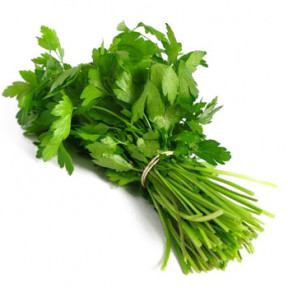 Петрушка Топит, Enza Zaden