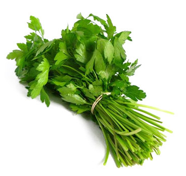 Петрушка Топіт, Enza Zaden