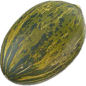 Диня Алмаден F1, Enza Zaden Диня Алмаден F1, Enza Zaden