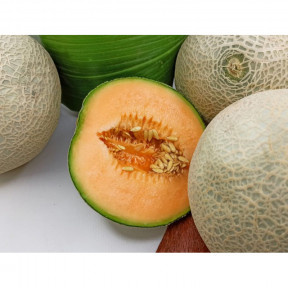 Диня Капаз F1, Enza Zaden