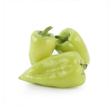 Перець солодкий Кантатта F1, Enza Zaden