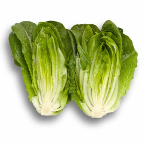 Салат Килнсей, Enza Zaden