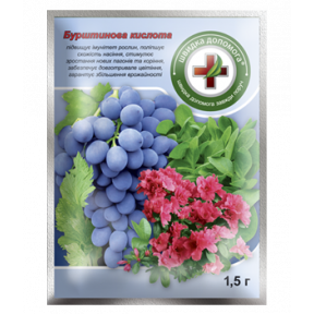 Бурштинова кислота регулятори росту Киссон