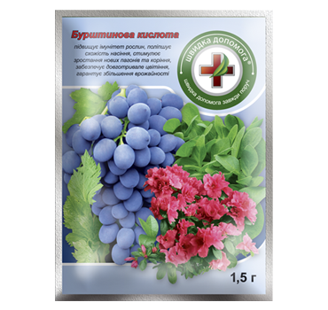 Бурштинова кислота регулятори росту Киссон