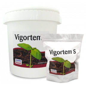 Фосфорно-гумінове добриво Vigortem-S, Meristem