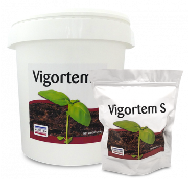 Фосфорно-гумінове добриво Vigortem-S, Meristem