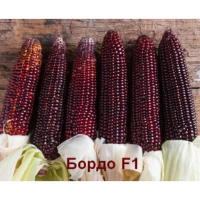 Бордо F1 – цукрова кукурудза, МНАГОР