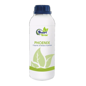 Смарт Гроу Відновлення , 1л, PHOENIX Smart Grow