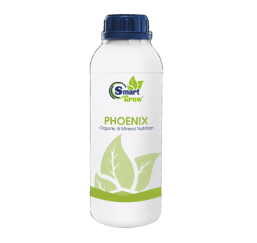 Смарт Гроу Відновлення , 1л, PHOENIX Smart Grow Смарт Гроу Відновлення , 1л, PHOENIX Smart Grow