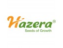 Hazera
