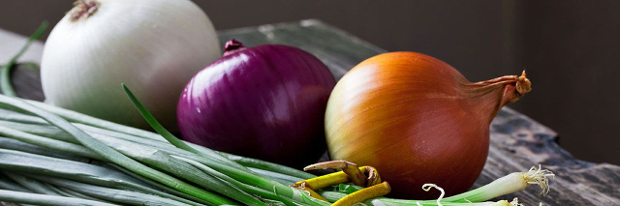 семена лука оптом